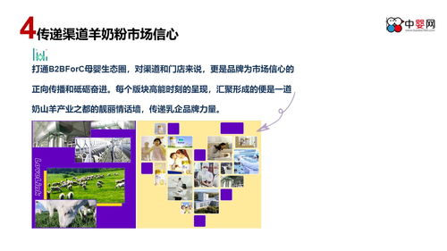 整合多元渠道，深化品牌影響力 中嬰網(wǎng)互動營銷主題活動策劃案